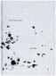 Sascha Weidner. The Far Flowered Shore