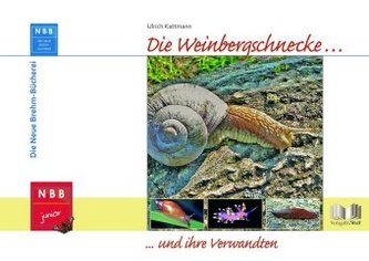 Die Weinbergschnecke und ihre Verwandten