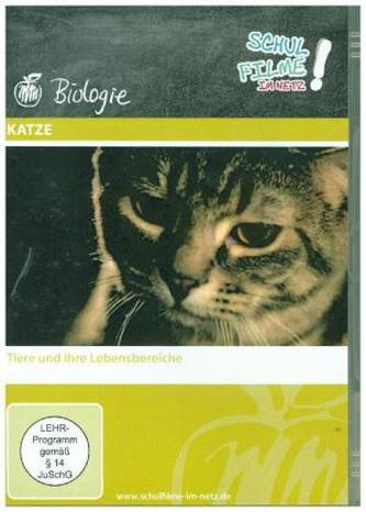 Katze, 1 DVD