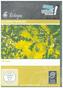 Baumbestimmung, 1 DVD