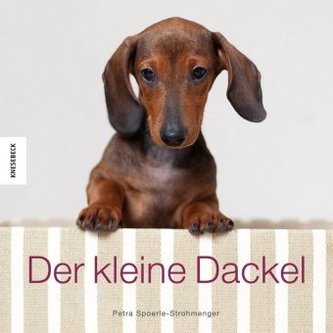 Der kleine Dackel Der kleine Dackel