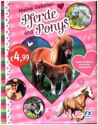 Meine liebsten Pferde und Ponys