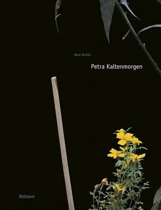 Petra Kaltenmorgen Petra Kaltenmorgen
