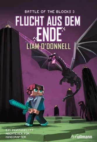 Minecraft - Flucht aus dem Ende
