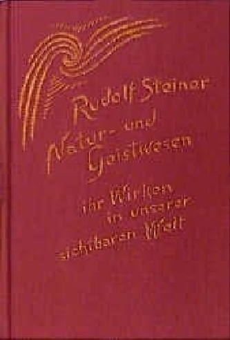 Natur- und Geistwesen - ihr Wirken in unserer sichtbaren Welt