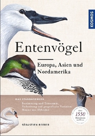 Entenvögel