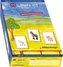 that's it!, Spielend Vokabeln lernen (Spiel). Tl.1