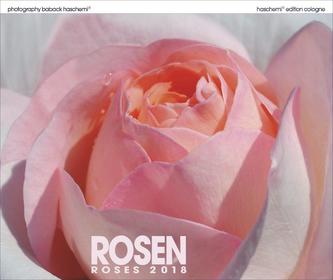 Rosen 2018