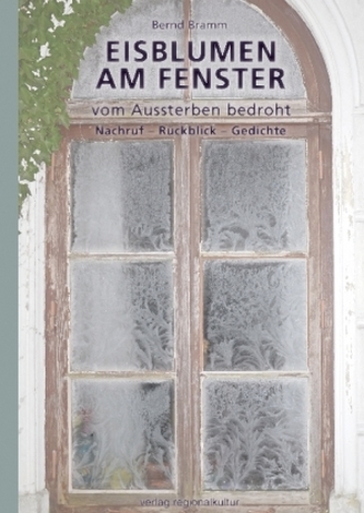 Eisblumen am Fenster