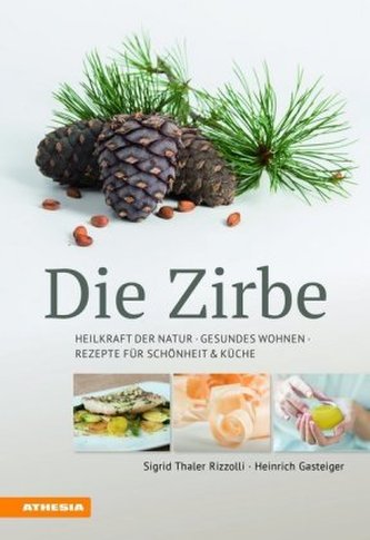 Die Zirbe