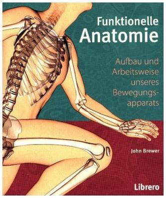 Funktionelle Anatomie