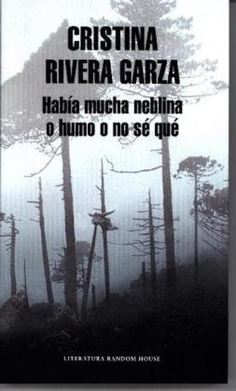 Había mucha neblina o humo o no se qué