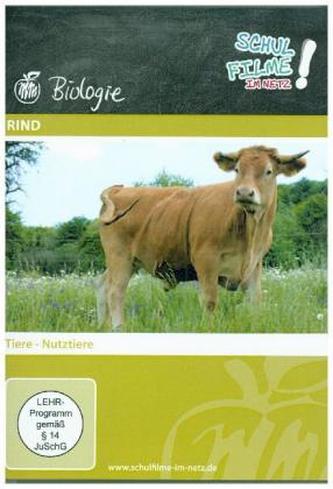 Rind, 1 DVD