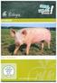 Schwein, 1 DVD