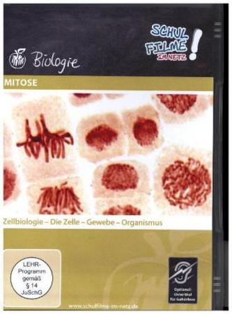 Mitose, 1 DVD