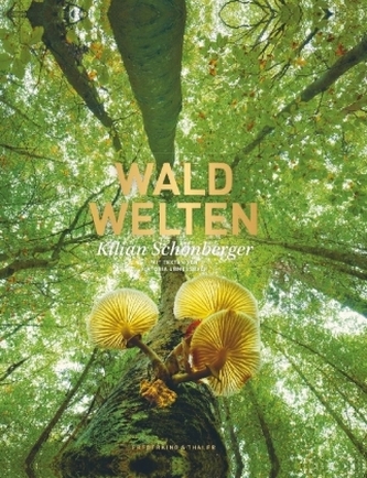 Waldwelten Waldwelten