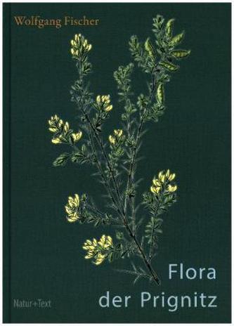 Flora der Prignitz