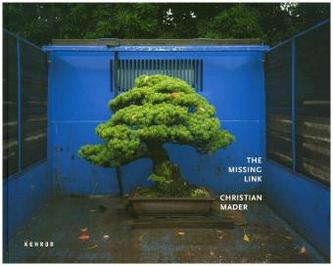The Missing Link The Missing Link