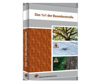 Das 1x1 der Baumkontrolle