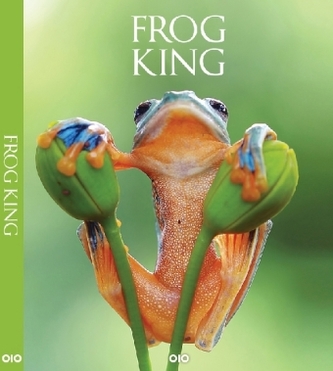 Frog King Frog King