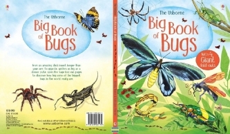 The Usborne Big Book of Bugs