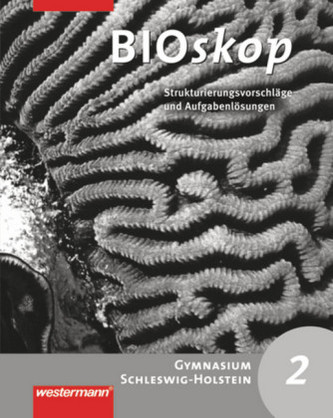 7./8. Schuljahr, Strukturierungsvorschläge und Lösungen