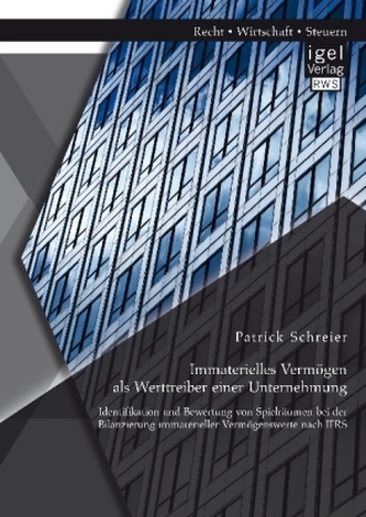 Immaterielles Vermögen als Werttreiber einer Unternehmung. Identifikation und Bewertung von Spielräumen bei der Bilanzierung imm