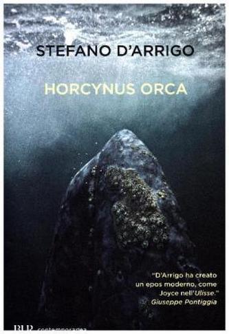 Horcynus Orca