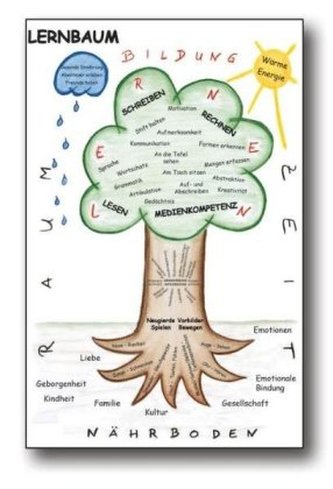 Lernbaum, 2 Teile