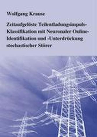 Zeitaufgelöste Teilentladungsimpuls-Klassifikation mit Neuronaler Online-Identifikation und  -Unterdrückung stochastischer Störe