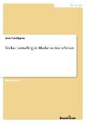 Risikocontrolling in Medienunternehmen