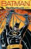 Batman: Niemandsland