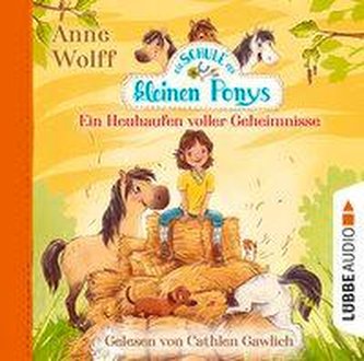 Die Schule der kleinen Ponys - Ein Heuhaufen voller Geheimnisse