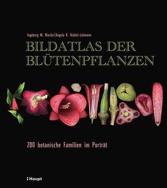 Bildatlas der Blütenpflanzen