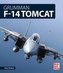 Grumman F-14 Tomcat