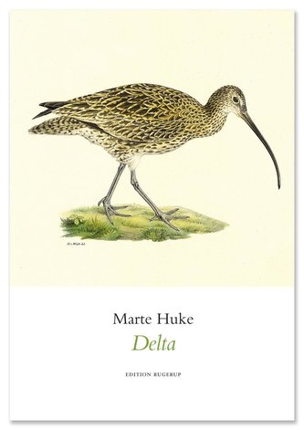 Delta