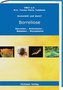 Borreliose