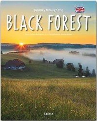 Journey through the Black Forest
