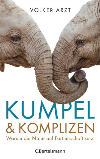 Kumpel und Komplizen