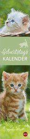 Katzen Geburtstagskalender