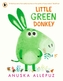 Little Green Donkey