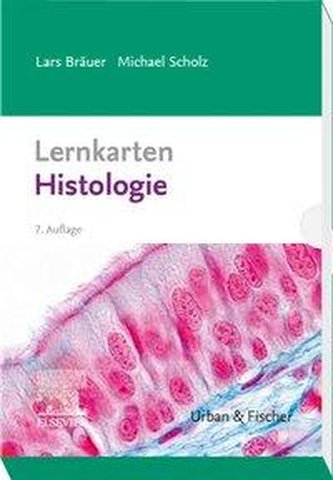 Lernkarten Histologie