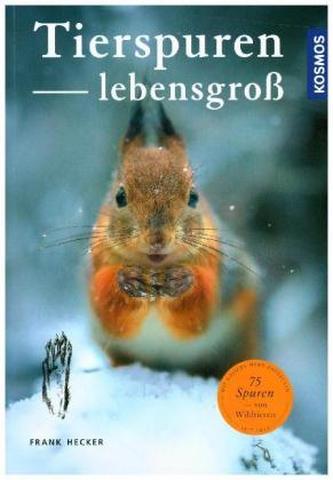 Tierspuren lebensgroß