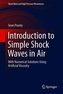 Introduction to Simple Shock Waves in Air