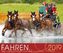 Fahren 2019