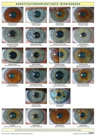 Konstitutionsorientierte Irisdiagnose, Wandtafel Konstitutionsorientierte Irisdiagnose, Wandtafel