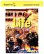 Life - Second Edition - A2: Elementary - ExamView DVD-ROM