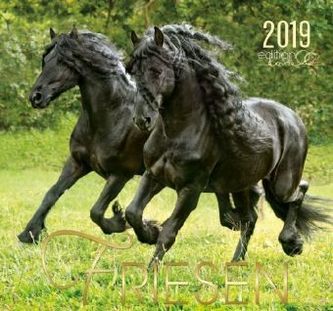 Friese 2019