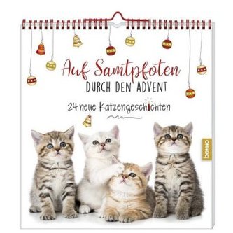 Auf Samtpfoten durch den Advent
