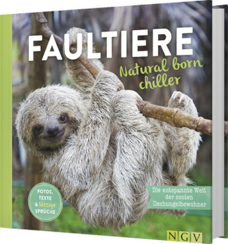 Faultiere-Natural born chiller